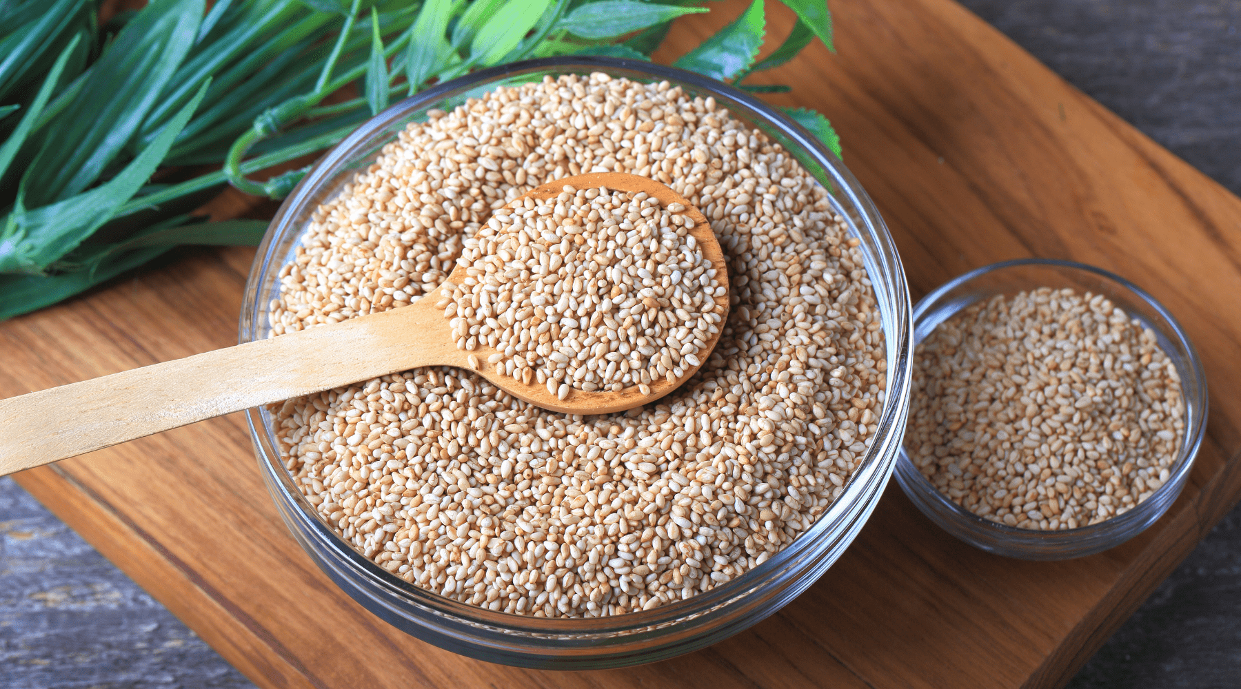 Nutrient Dense, Vegan, Gluten-free Health Truffle Bombs