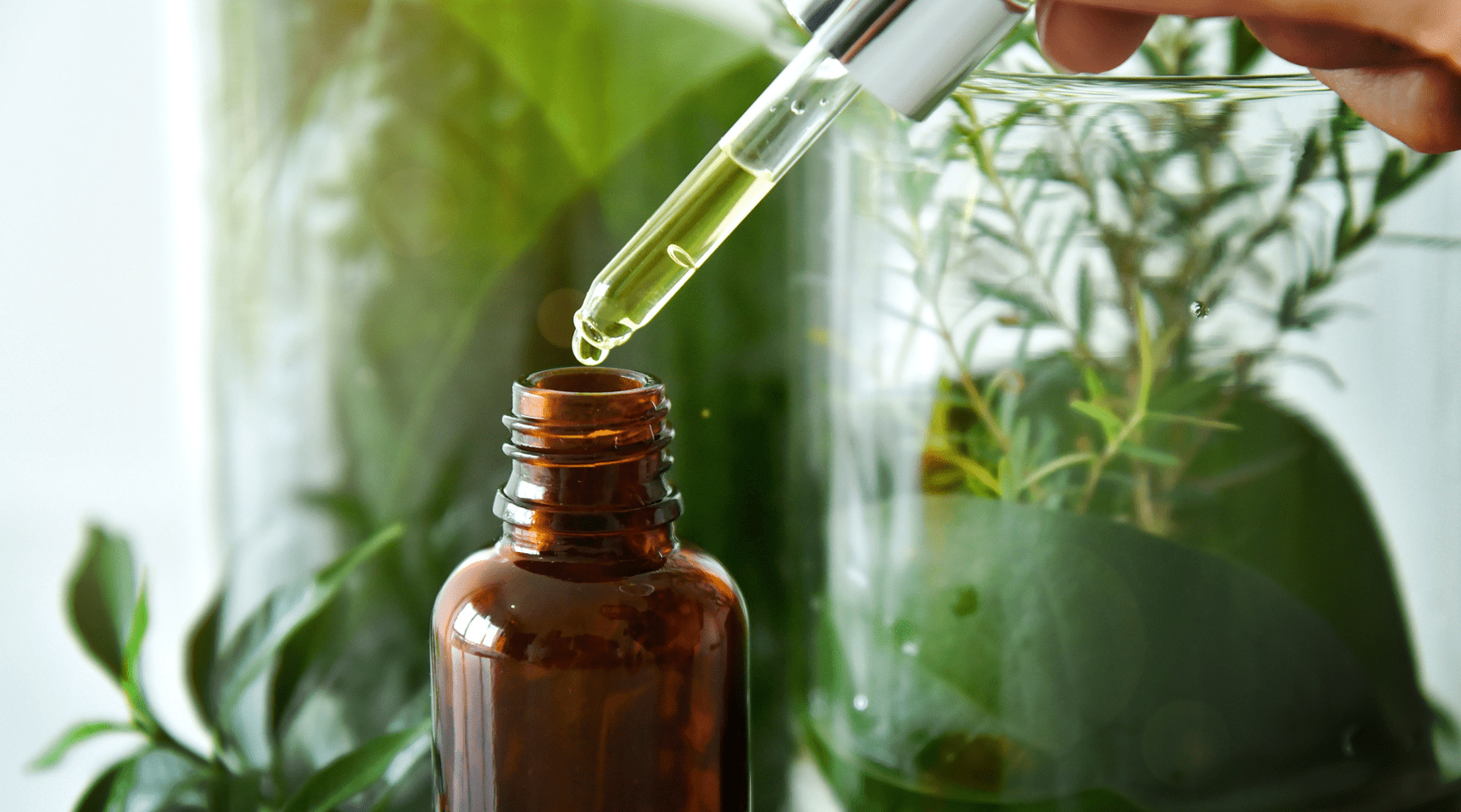 Our Newest Organic, Natural Skincare Products