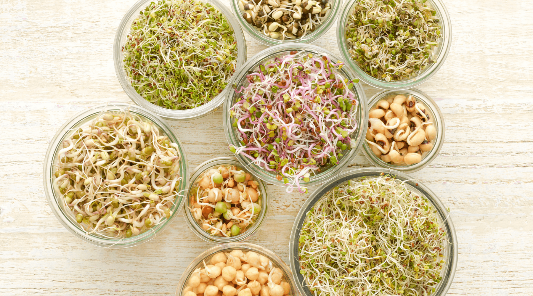How To Grow Sprouts At Home