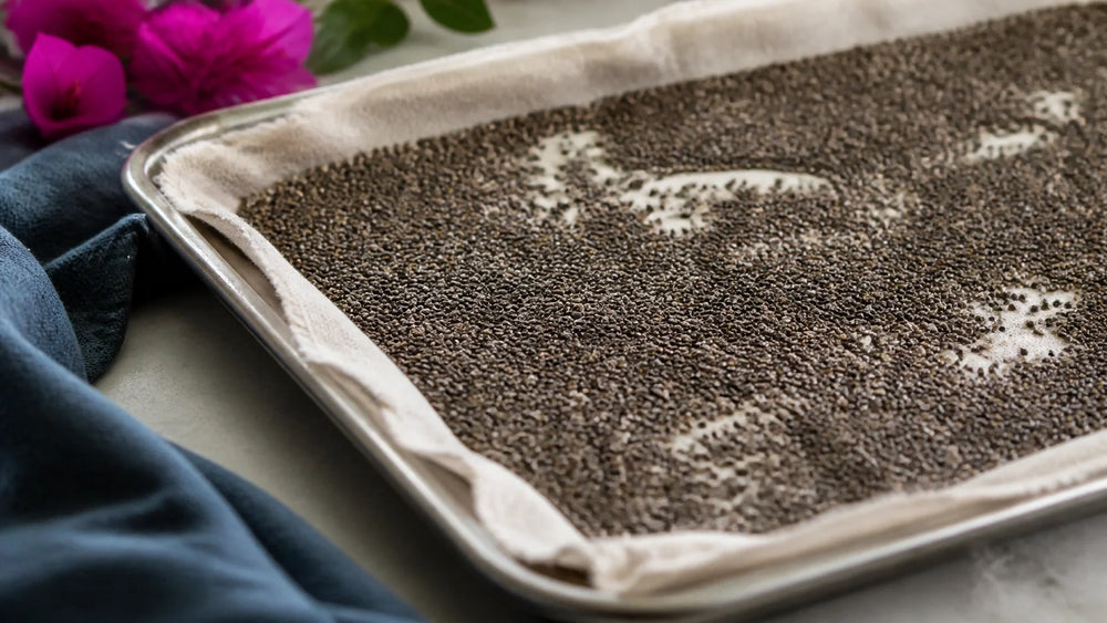 How Much Fiber in a Chia Seeds: A Simple Pantry Guide