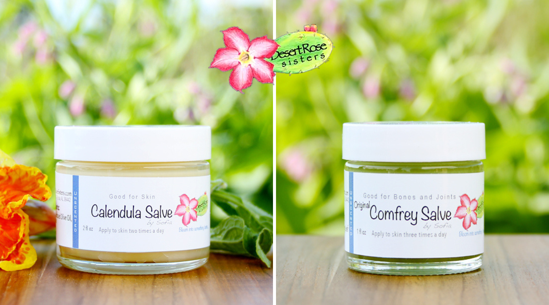 Handmade Herbal Salves Rooted in Faith, Family, and Tradition