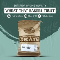 
                  
                    Wheat Berries, Bronze Chief (Red) - Country Life Natural Foods
                  
                
