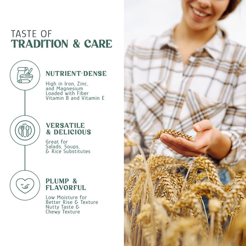 
                  
                    Wheat Berries, Bronze Chief (Red) - Country Life Natural Foods
                  
                