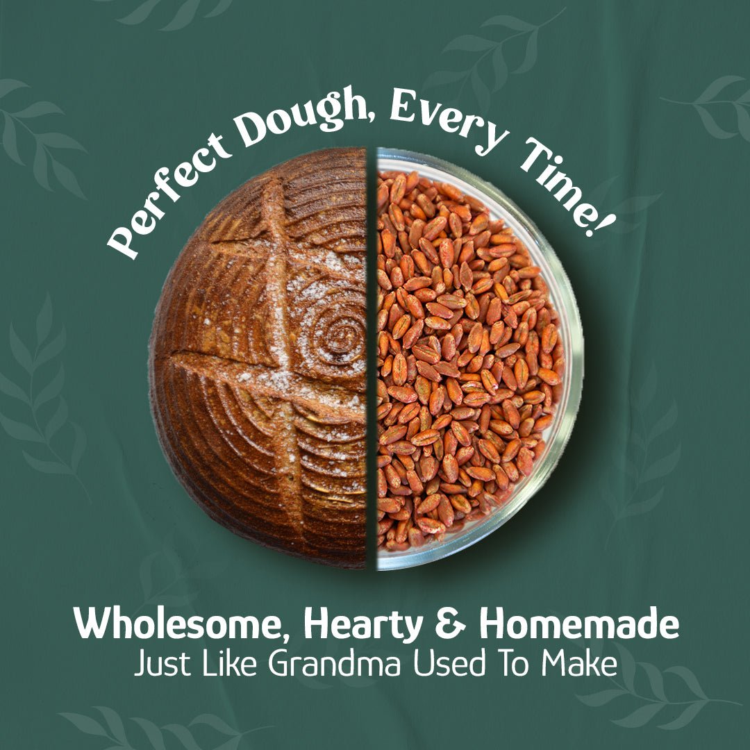 Wheat Berries, Bronze Chief (Red) - Country Life Natural Foods