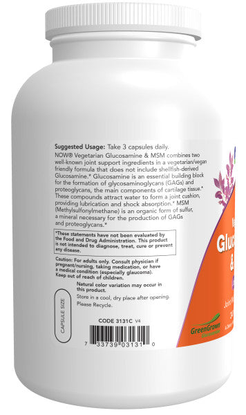 Glucosamine & MSM