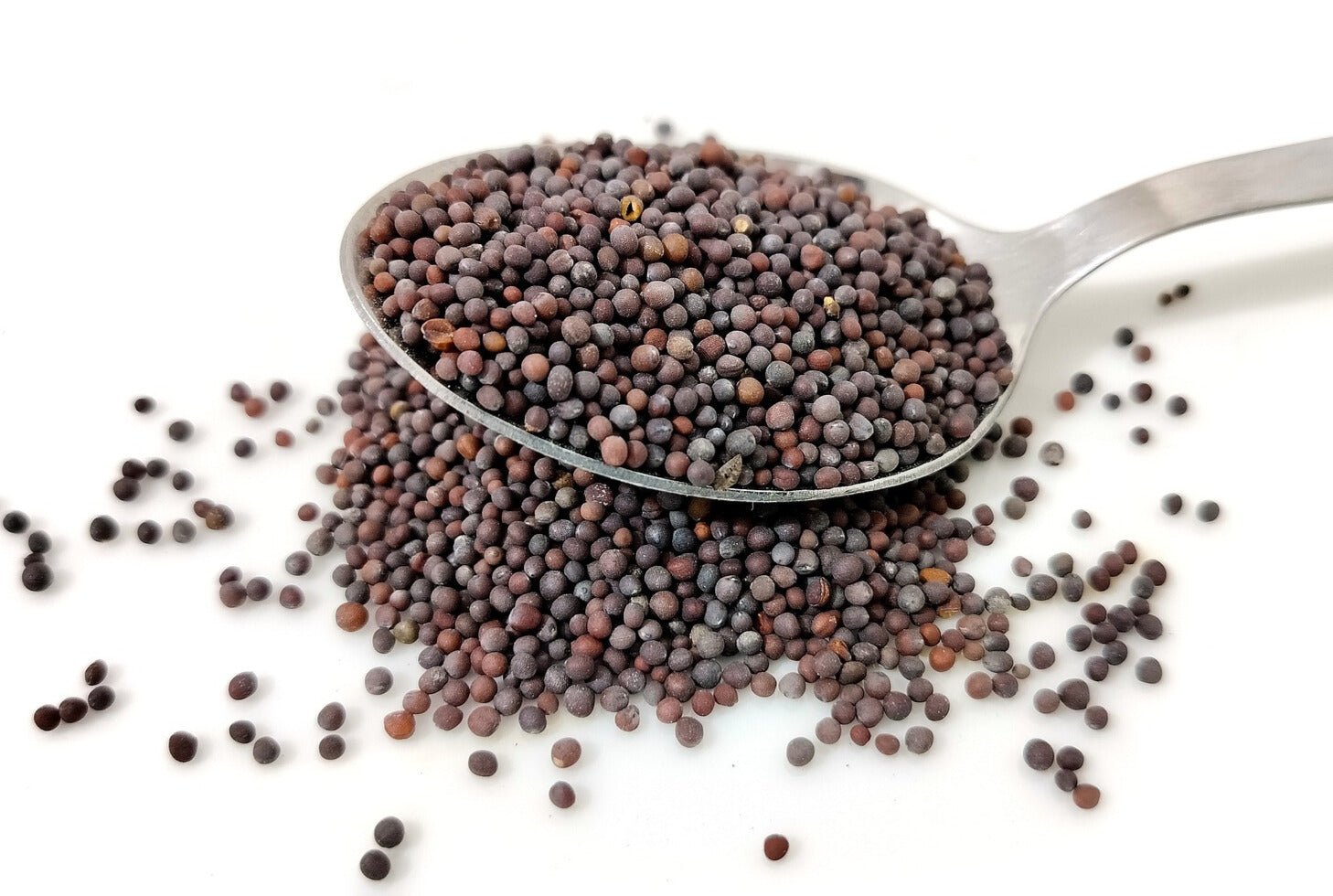 Mustard Seed, Whole, Herbs Spices & Seasonings - Country Life Natural Foods