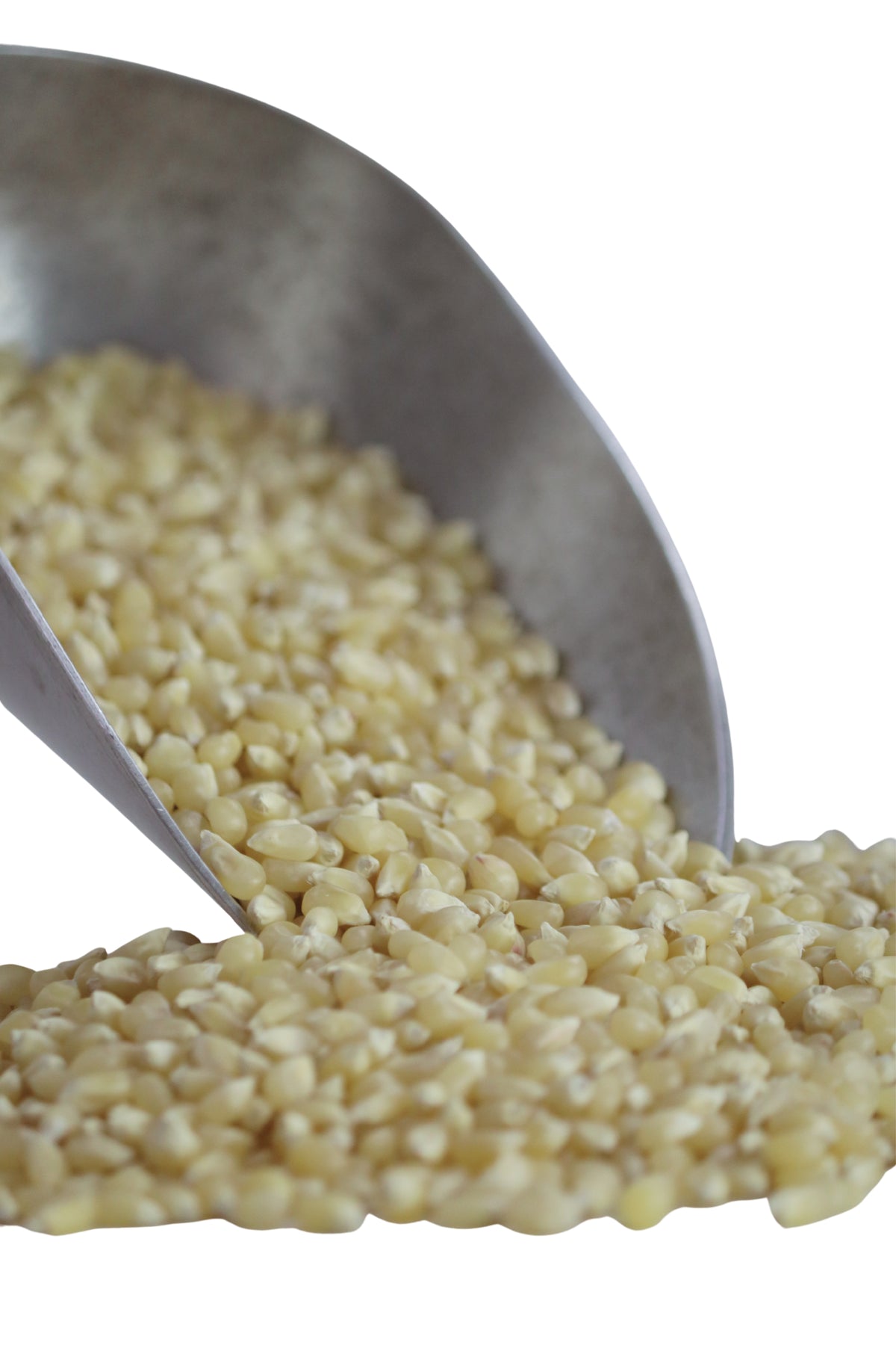 Popcorn, White, Organic, Grains - Country Life Natural Foods