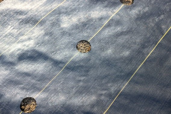 
                  
                    Quick - Plant Fabric — Weed Barrier - Country Life Natural Foods
                  
                