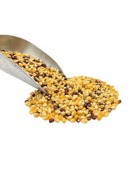 Popcorn, Tri - Color, Organic - Country Life Natural Foods