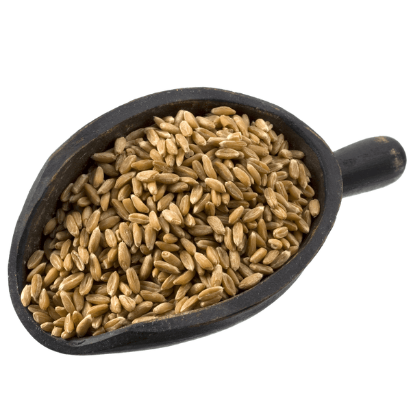 Spelt Berries, Organic, Grains - Country Life Natural Foods