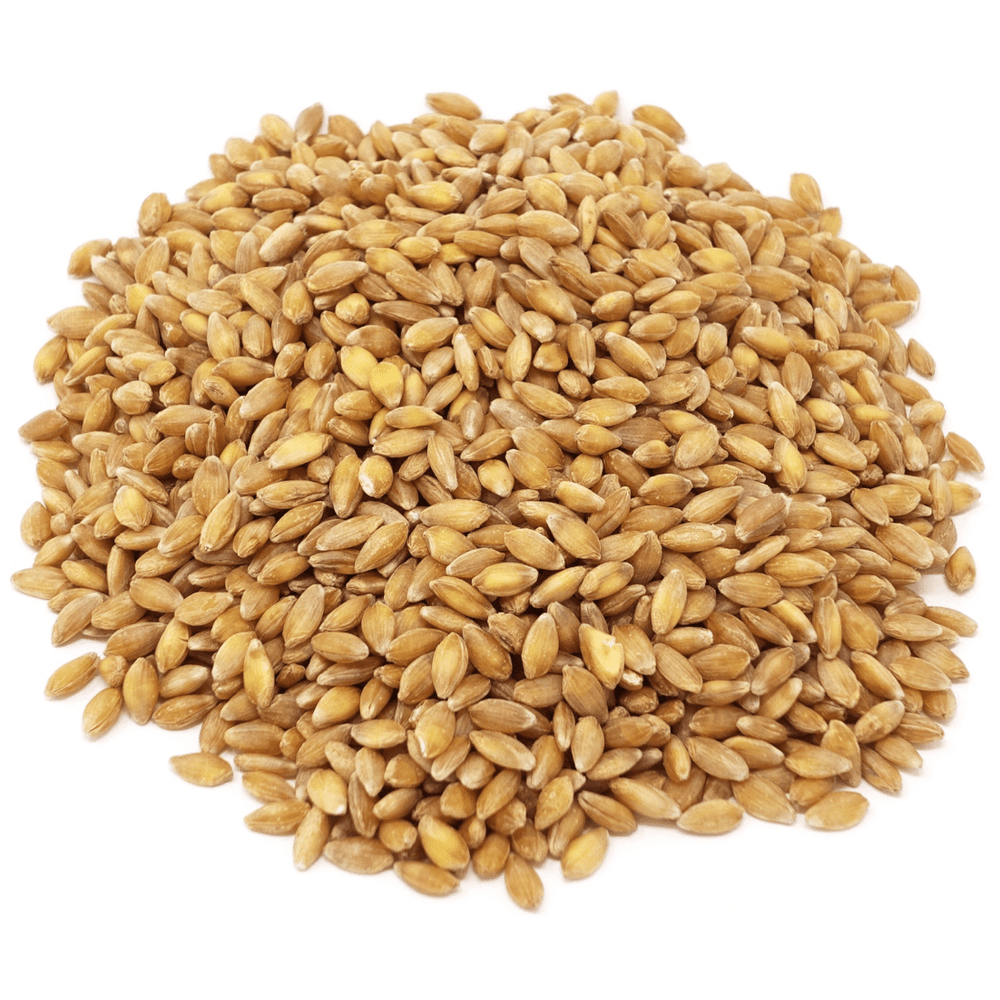 Einkorn Berries, Organic - Country Life Natural Foods