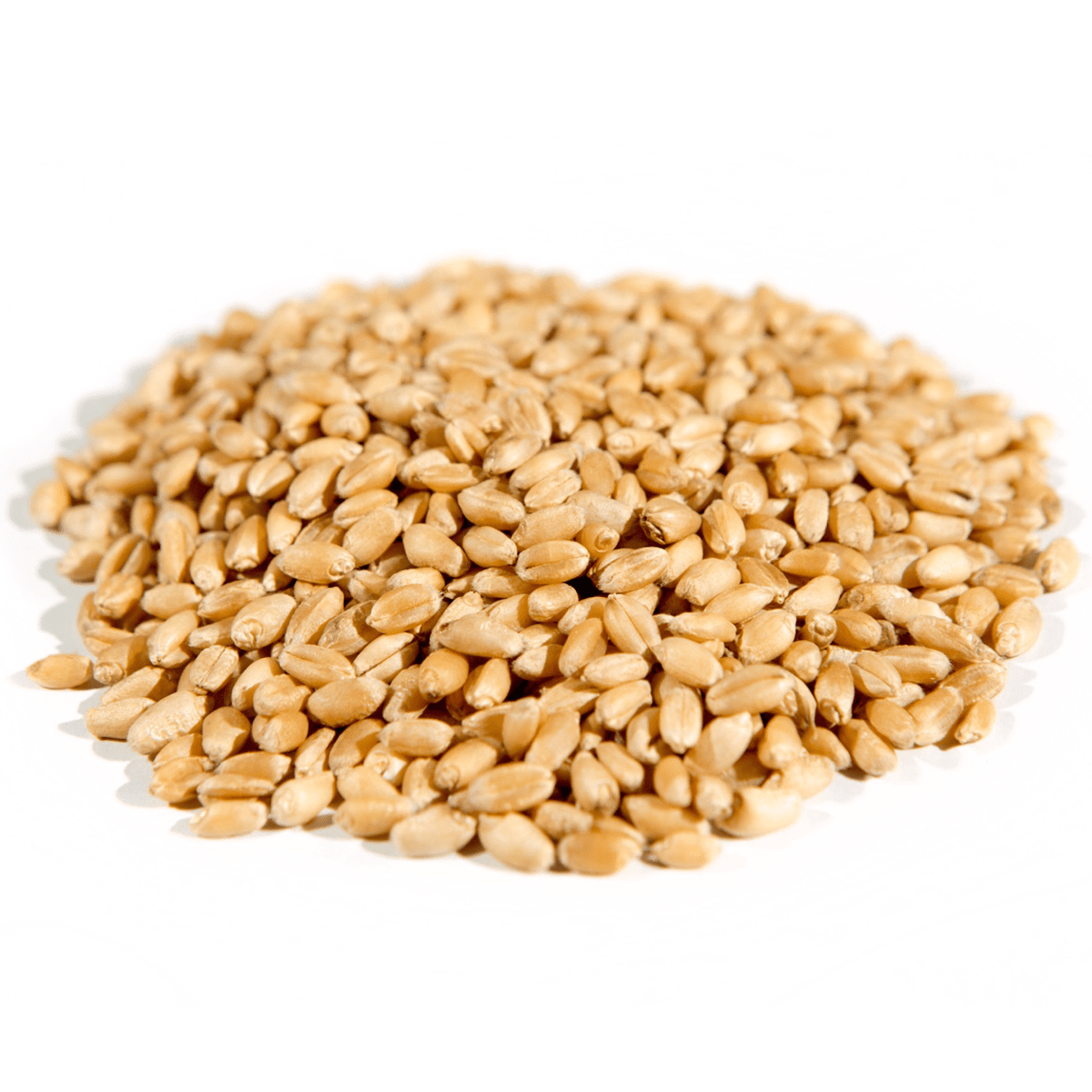 Wheat Berries, Hard White, Organic, Grains - Country Life Natural Foods