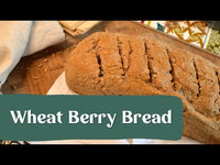 
                  
                    Load and play video in Gallery viewer, Wheat Berries, Hard Red, Spring Wheat
                  
                