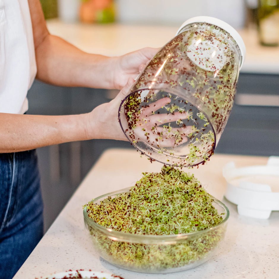 The Sprout Spout, Kitchen Tools & Utensils - Country Life Natural Foods