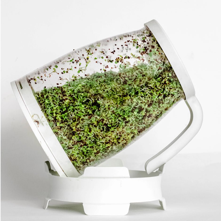 The Sprout Spout, Kitchen Tools & Utensils - Country Life Natural Foods