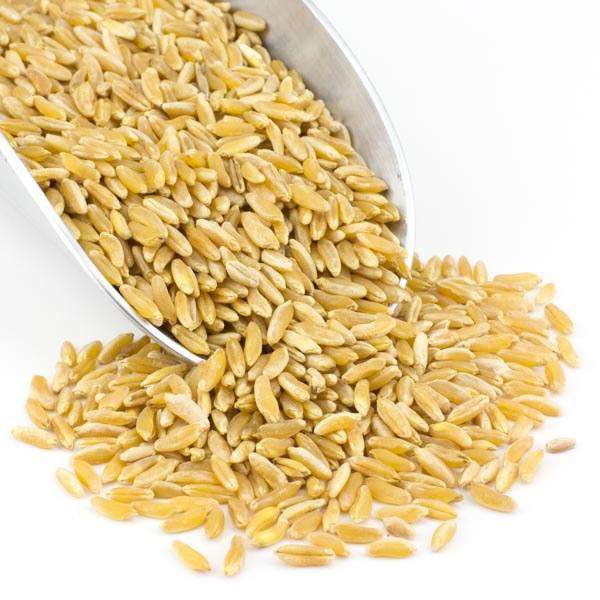 Mill Your Own Flour - Organic Grain Starter Kit, Bundles - Country Life Natural Foods