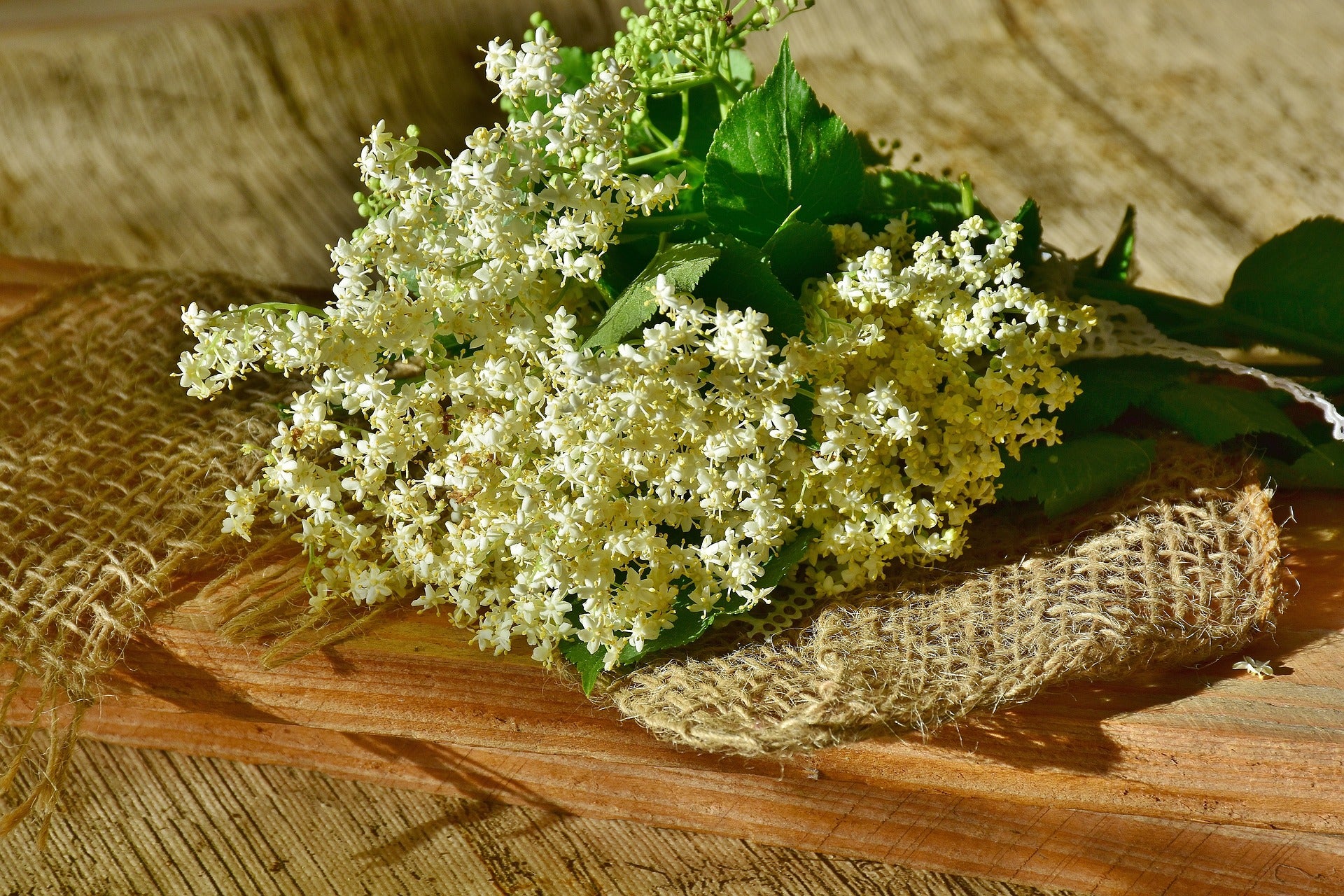 Elderflowers, Whole, Organic, Herbs - Country Life Natural Foods