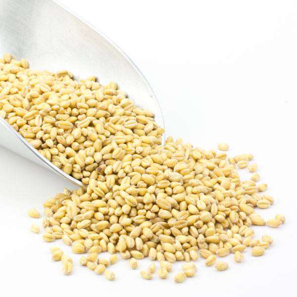 Wheat Berries, Soft White, Grains - Country Life Natural Foods