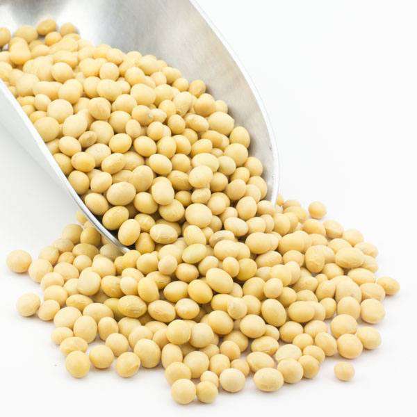 Soy Beans, Organic, Beans - Country Life Natural Foods