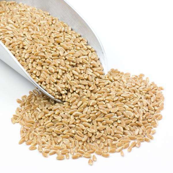 Mill Your Own Flour - Organic Grain Starter Kit, Bundles - Country Life Natural Foods