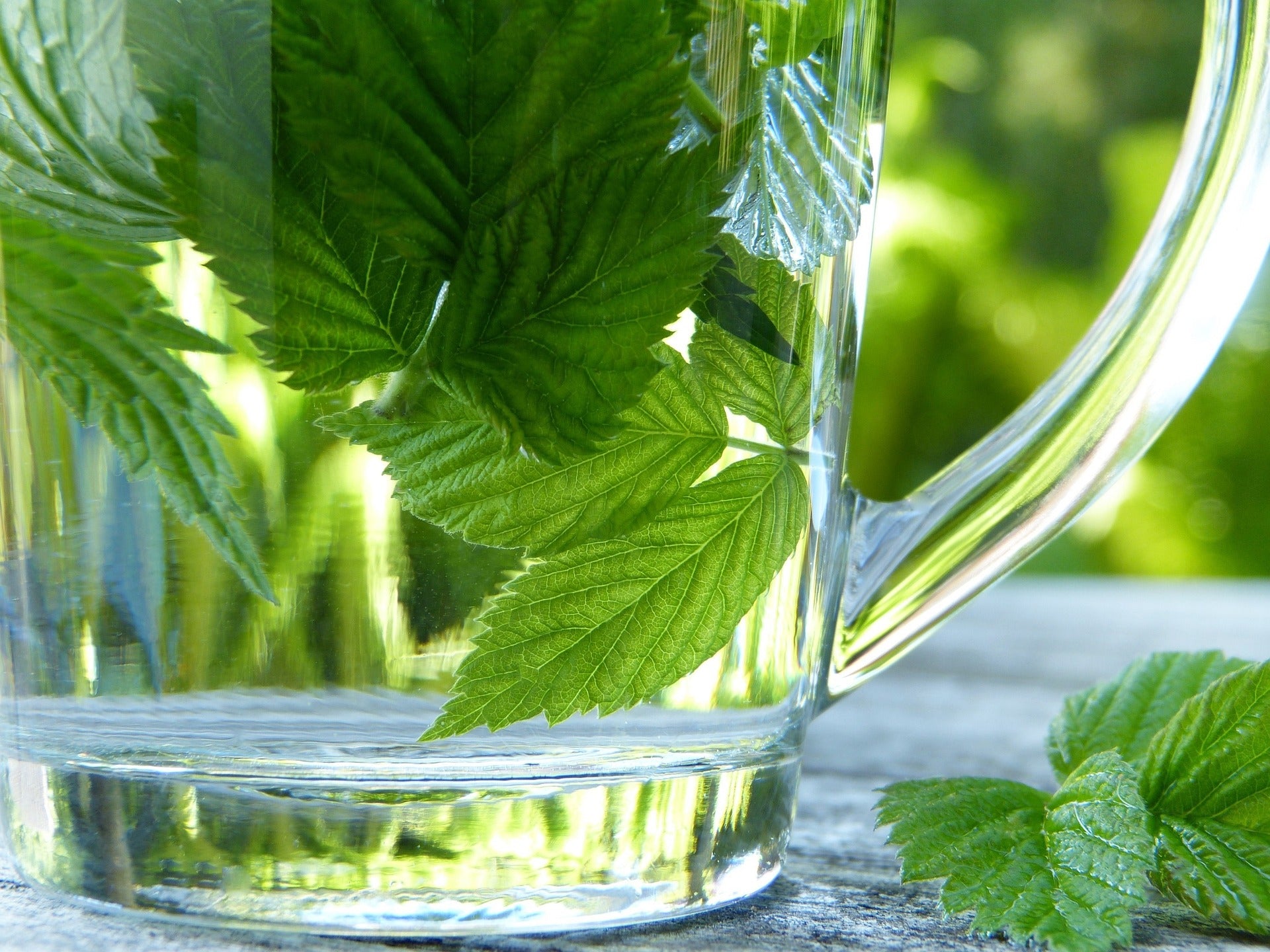 Raspberry Leaf, Cut, Sifted, Herbs - Country Life Natural Foods