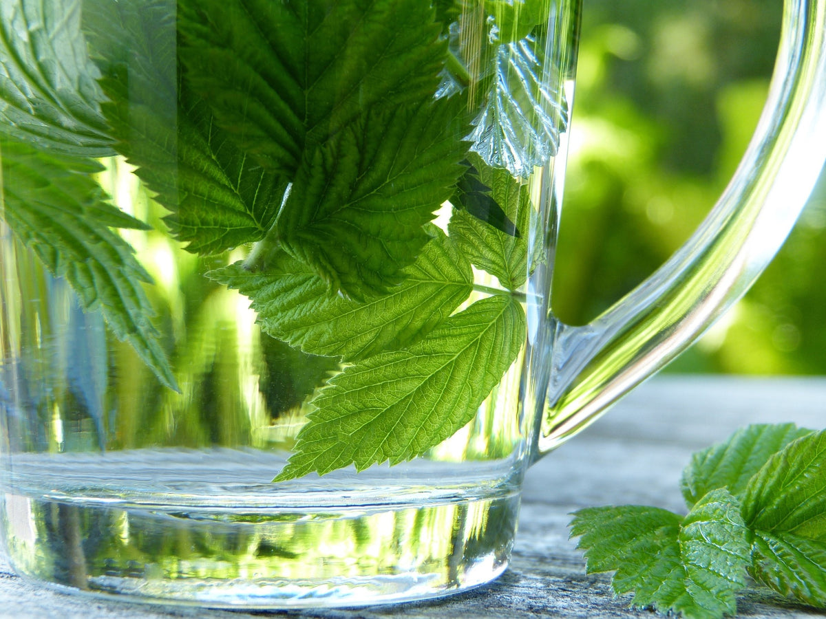 Raspberry Leaf, Cut, Sifted, Herbs - Country Life Natural Foods