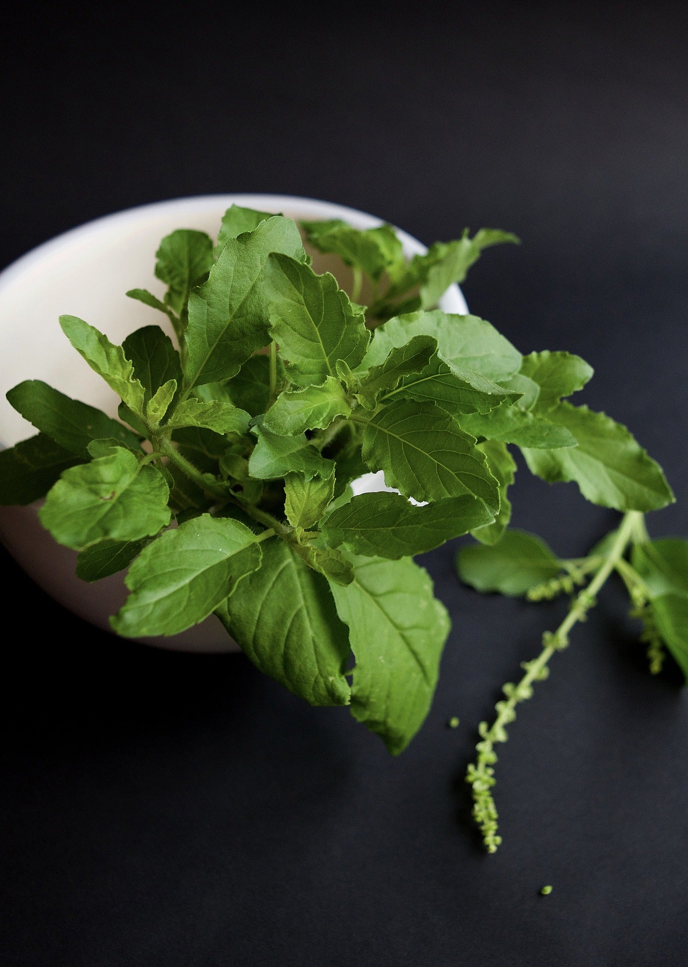 Tulsi Holy Basil Leaf, Granules, Herbs - Country Life Natural Foods