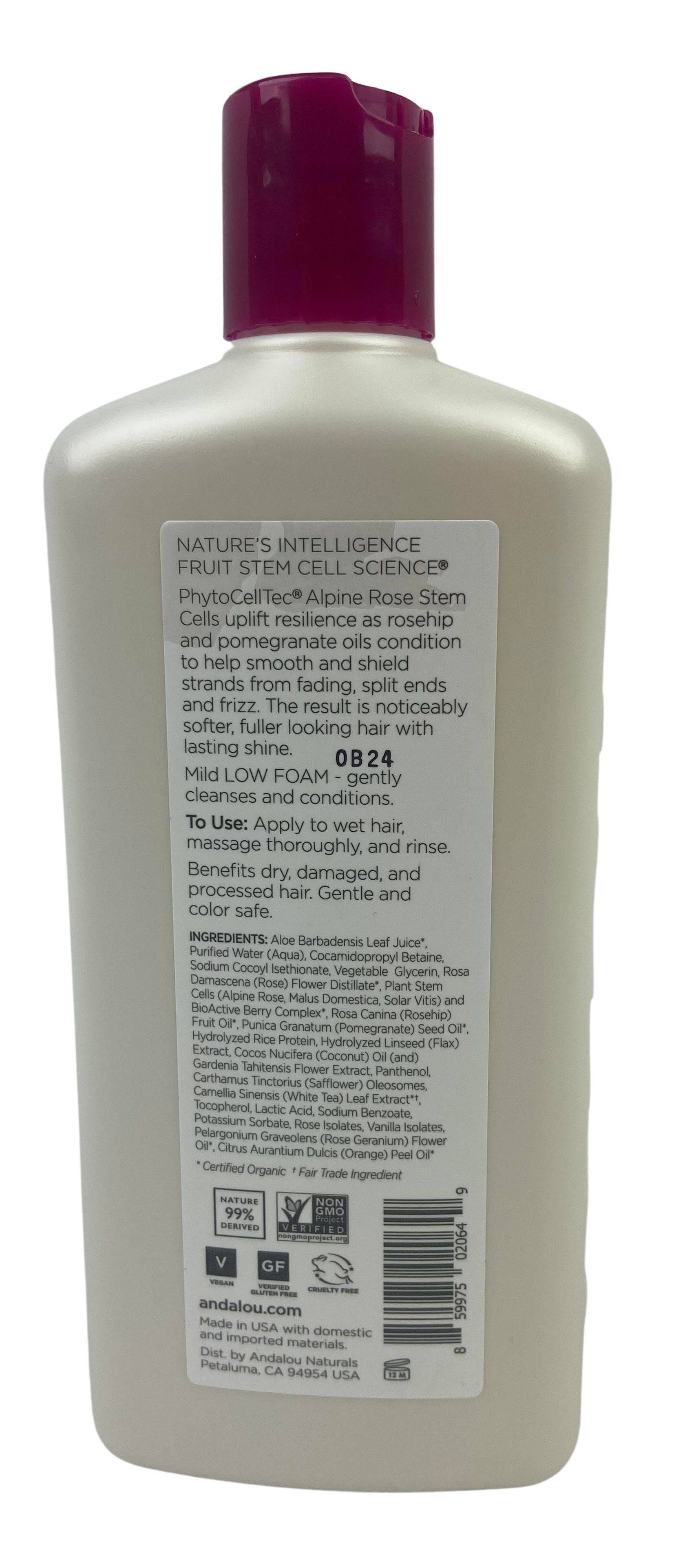 Shampoo, 1000 Roses, Andalou Naturals, Health & Beauty - Country Life Natural Foods