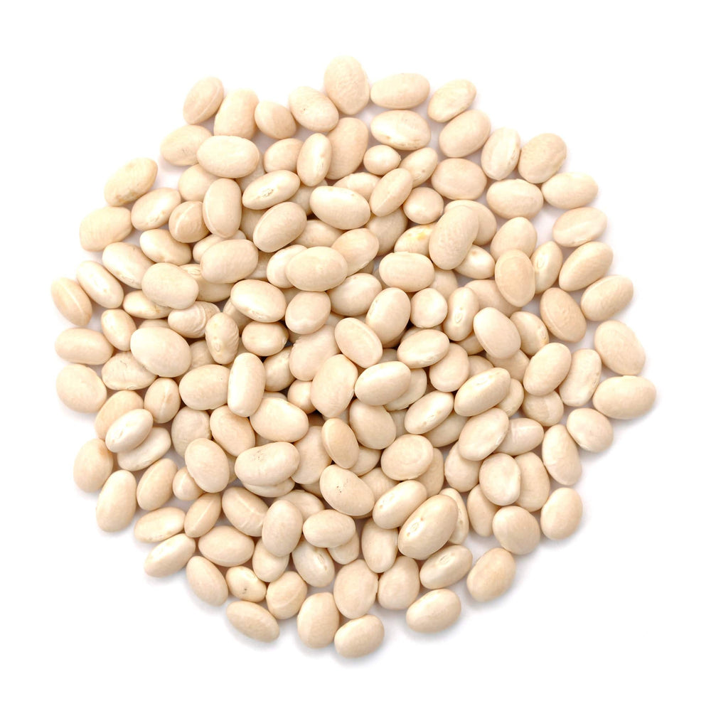 Navy Beans, Organic - Country Life Natural Foods