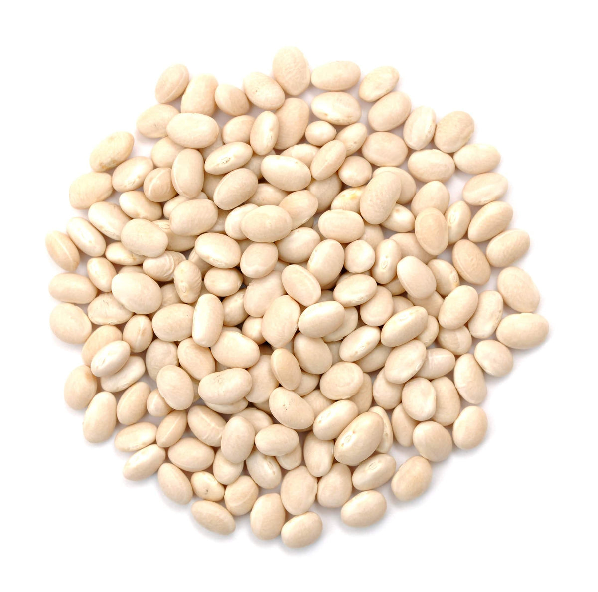 Navy Beans, Organic, Beans - Country Life Natural Foods