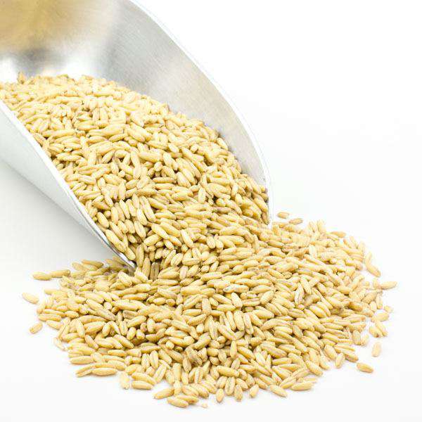 Oat Groats, Whole, Organic, Oats - Country Life Natural Foods