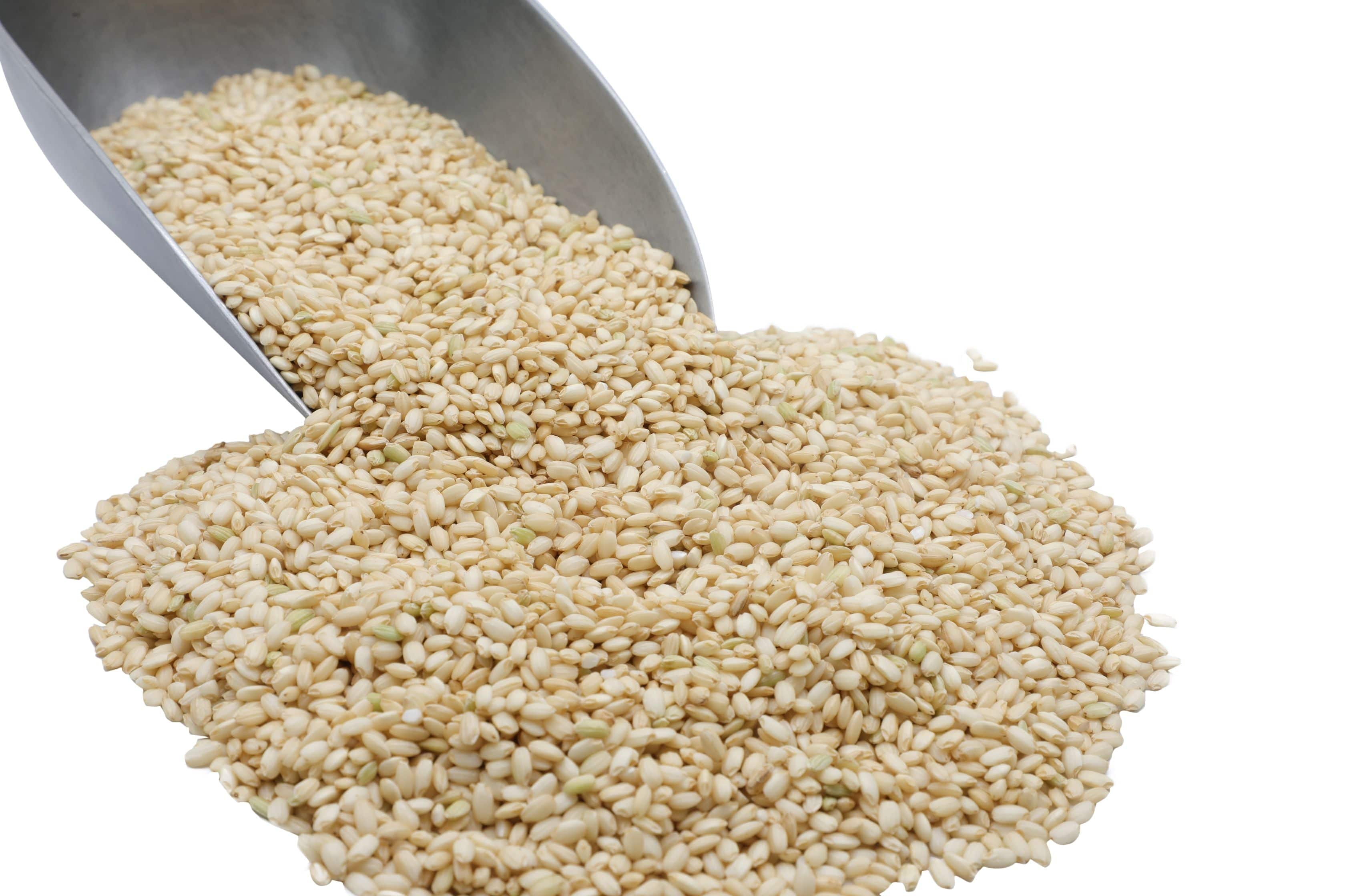 Sweet Rice, Brown, Organic, Lundberg, Rice - Country Life Natural Foods
