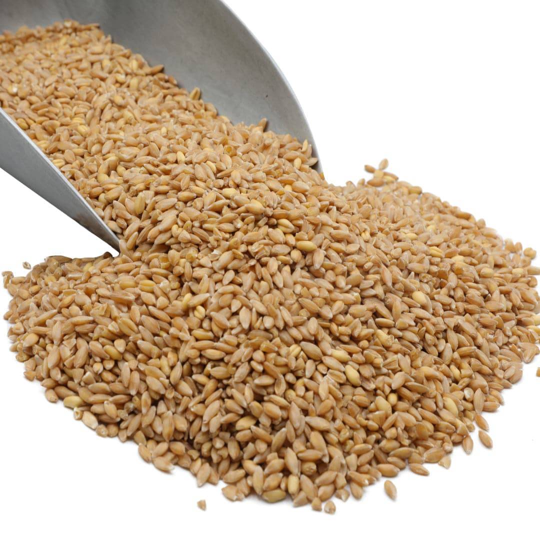 Mill Your Own Flour - Organic Grain Starter Kit, Bundles - Country Life Natural Foods